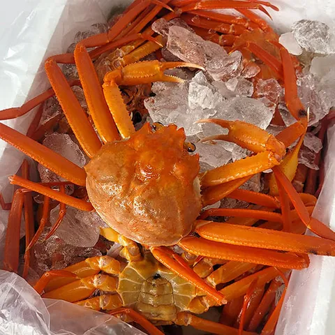 [해담]당일조업 속초홍게(중) 자숙홍게 3kg(8-9미) 수율 90% 내외 A급 산지직송