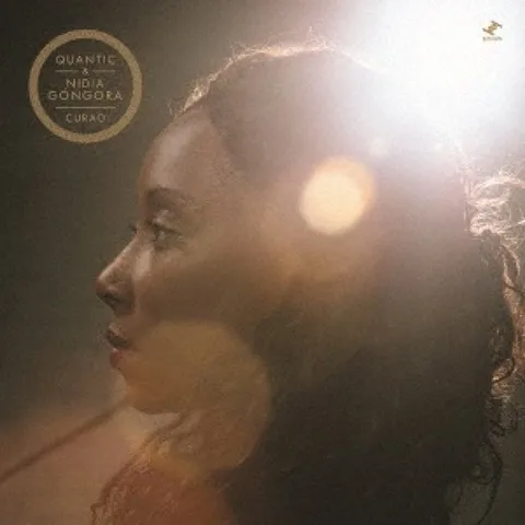 퀀틱니디아 곤고라 큐라오