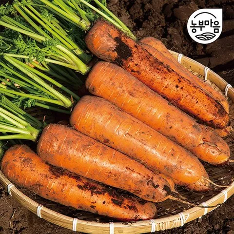 [농부마음] 싱싱한 흙당근 10kg(중품)