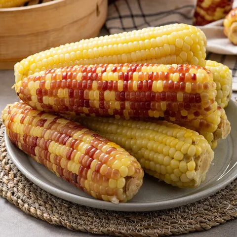 홍찰 급냉 찐 찰옥수수  20개 (왕특대-15~18cm)
