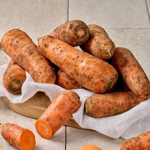 제주 구좌 흙당근 5kg(왕)