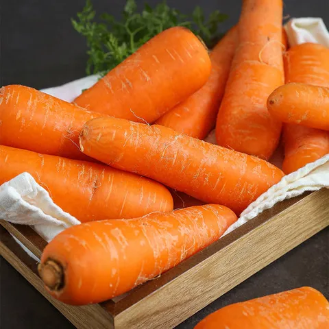 달큰한 제주 구좌 햇 당근 왕 3kg(개당 360g이상)