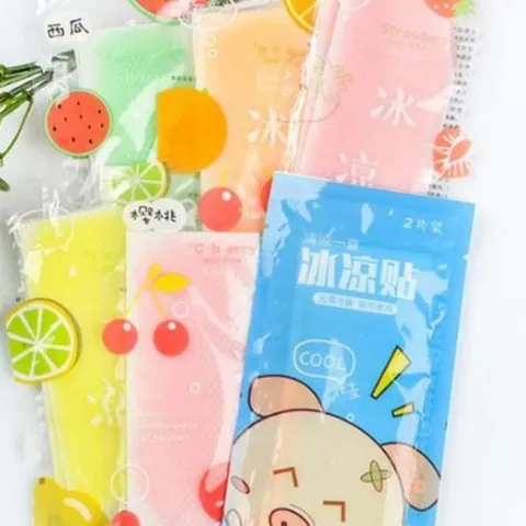 랜덤2매 휴대용 붙이는 쿨패치 파스형 쿨팩 쿨링 냉감 효과