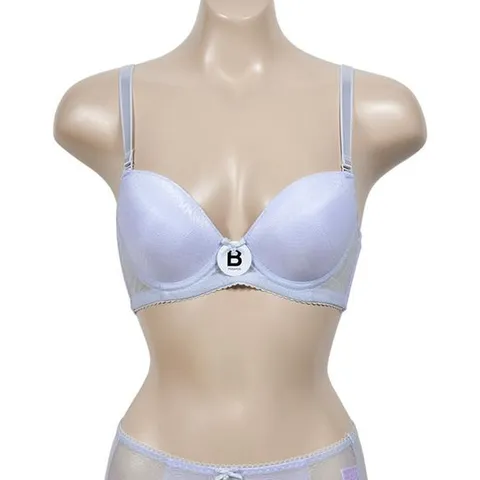 고급스러운 망사 몰드 와이어 브라 B컵 속옷 사계절