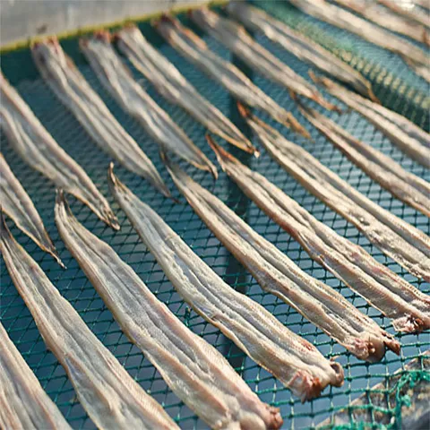 해풍에 잘 말린 통영 반건조장어 대(3미) 장어소스증정 장어구이