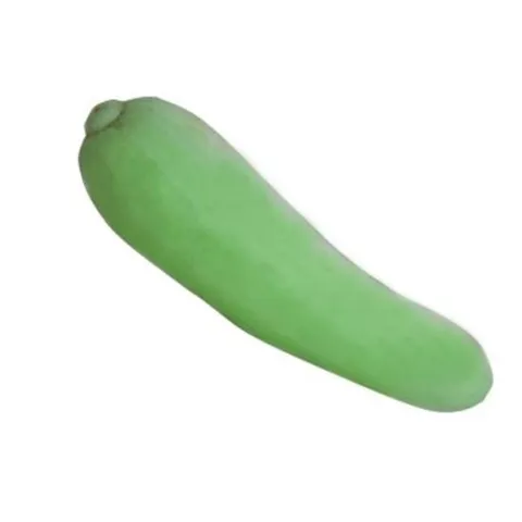 울외 과일 오이참외 씨 씨앗 종자 씨앗 품종 20립 참외씨