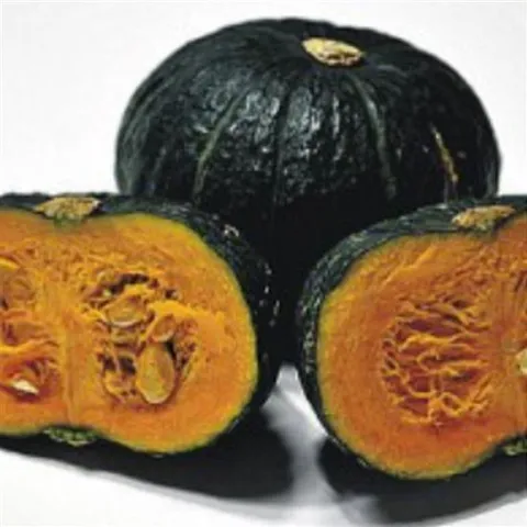 미니 단호박 식용 호박씨 채소 열매 씨앗 종자 5립 품종