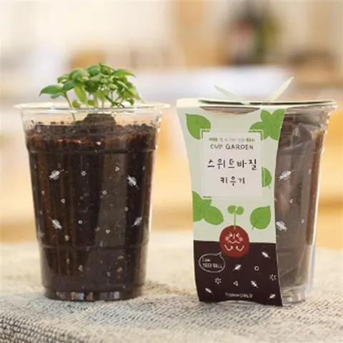 거실화분 바질 씨앗심기 씨드볼 미니화분 흙 패키지