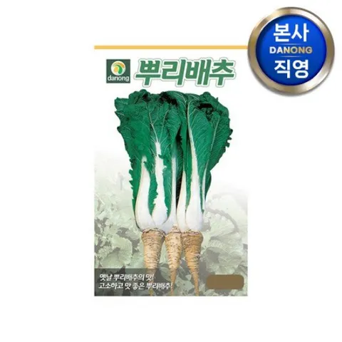 뿌리 배추 씨앗 2000립 . 원예 야채 채소 텃밭 재배 주말 농장 파종 씨 종자.