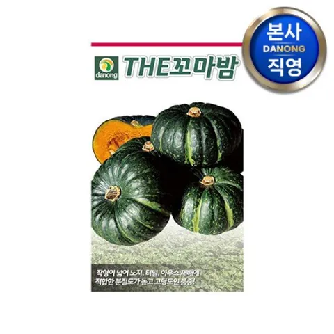 THE 꼬마 밤호박 씨앗 5립 . 미니 단 호박 채소 텃밭 파종 재배 씨 종자.