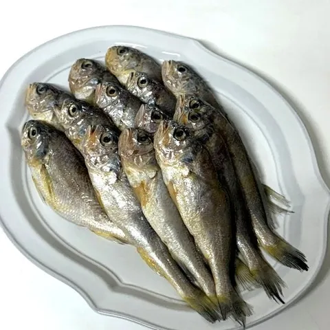 [해담]제주참굴비 500g 2팩 (2개 구매시 1팩 추가증정) 제주 실속형 굴비