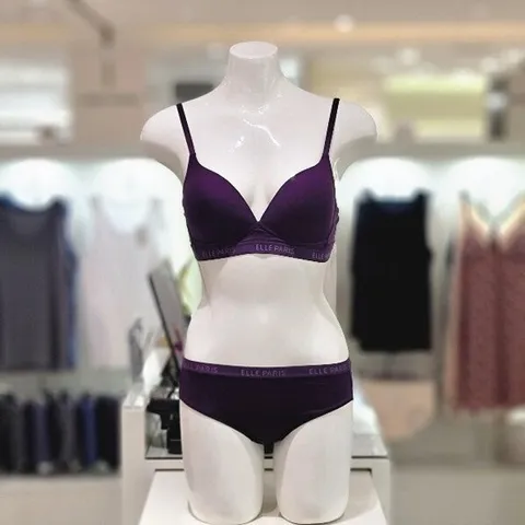 [ AK백화점 ][엘르] 퍼플 밴드 노와이어 브라햄세트 ECWBR771PU ECWBP771PU