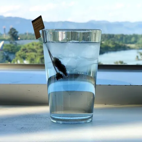 트라이탄컵 414ml 안깨지는 카페컵 대한민국 100110 카페물잔 업소용물컵 카페물컵 투명컵 플라스틱컵 디저