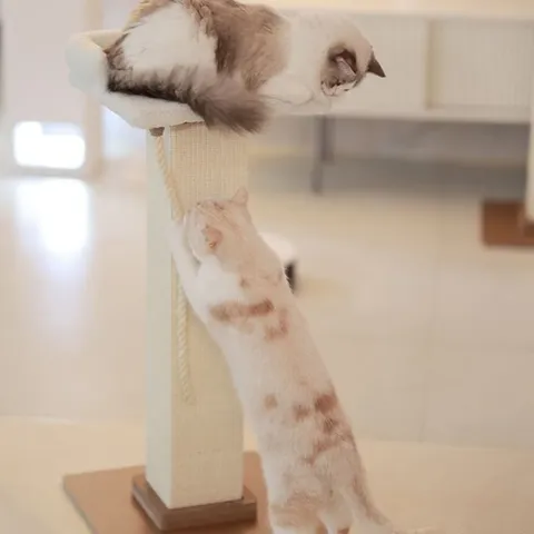 아토주 파우제 고양이 수직 스크래쳐 + 플리스 탑시트 세터