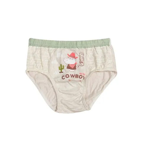 VIVADAY-SB502 남아동 삼각 5매입