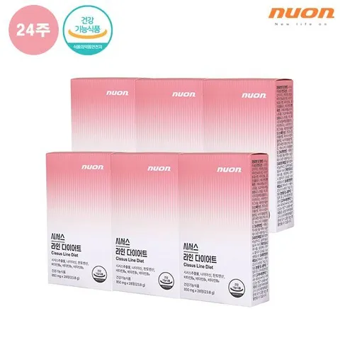 뉴온 시서스 라인 다이어트 6박스