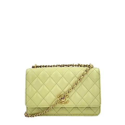 (명품) 샤넬 시즌 WOC N _ 4170 AP3102