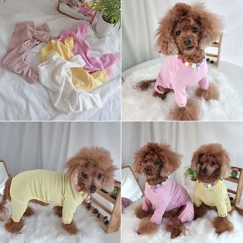 퐁퐁 레이스 올인원-강아지옷 강아지올인원 강아지여름옷 애견티셔츠 봄패션티셔츠 강아지봄패션 애견봄패