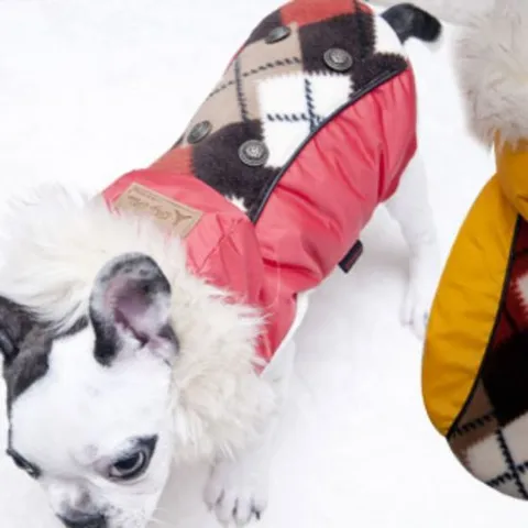강아지 패딩 모자 세트 10초 방수 경량 애견 겨울 강아지패딩조끼 강아지패딩 강아지겨울옷 강아지조끼 강
