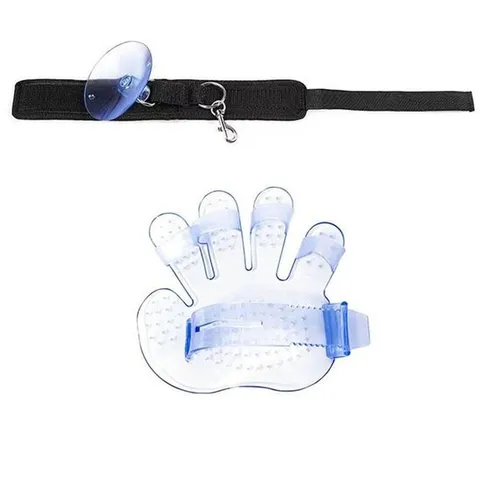 반려동물고정줄 애완동물 샤워 리드줄+장갑브러쉬 강아지털관리 고양이털빗 강아지털빠짐 강아지청소용품