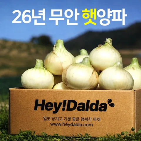 [산지직송] 무안 햇 양파 5kg(중대)