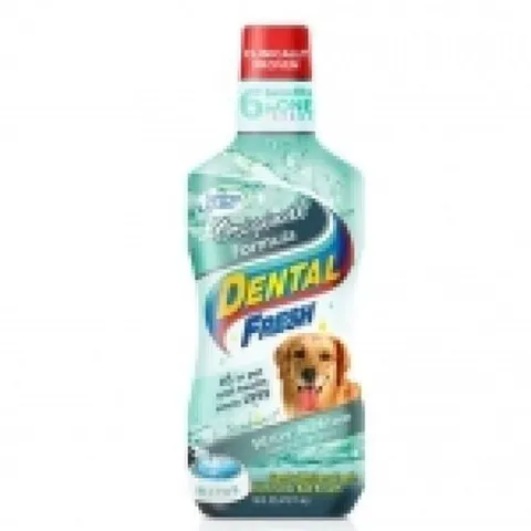 독 덴탈 후레쉬 오리지날 503ml