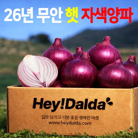 26년 무안 햇 자색 양파 3kg(특대)