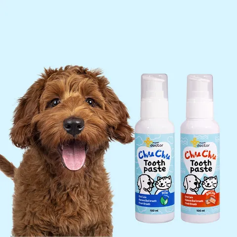 [마이펫닥터] 츄츄 치약 강아지 고양이 바르는 치약 무향 치석 입냄새 구취 제거 효소 100ml