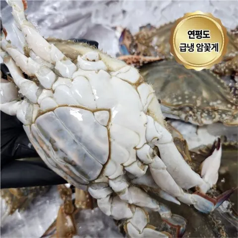 연평도 급냉 암꽃게 국내산 냉동꽃게 3kg (9-15미)