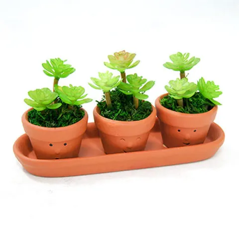 아트박스/컨츄리아이템 마커스 미니 화분 3종