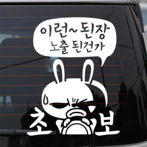 아트박스/제제데코 이런된장 노출된건가 초보