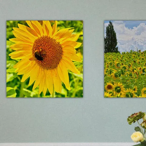 아트박스/꾸밈 pa450-아크릴액자_유화같은해바라기(중형)