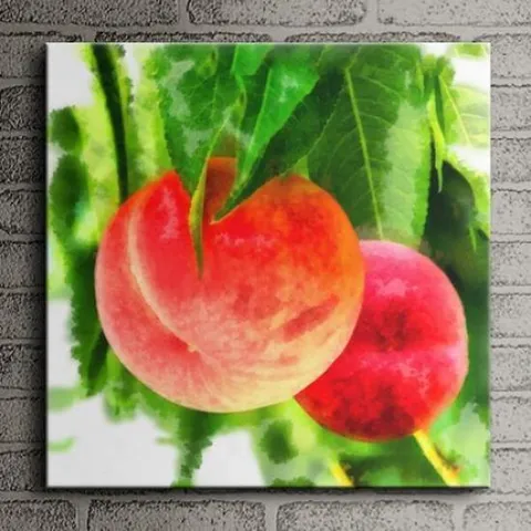 아트박스/꾸밈 pz223-장수를 상징하는 신선의 과일 복숭아 소형