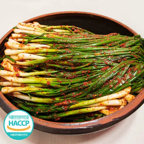 정성가득 손맛 국내산 파김치 3kg