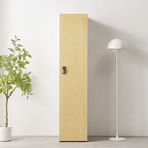 에버 2단 락카장 캐비넷 옷장 헬스 락커룸 사무용 신발장 개인 사물함 (착불)