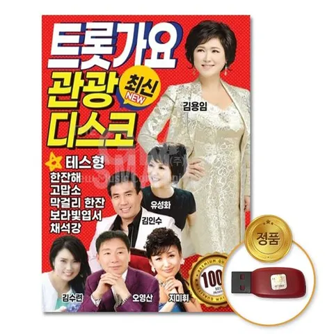 USB (더지엠)USB_트롯가요-최신관광디스코100곡 가요