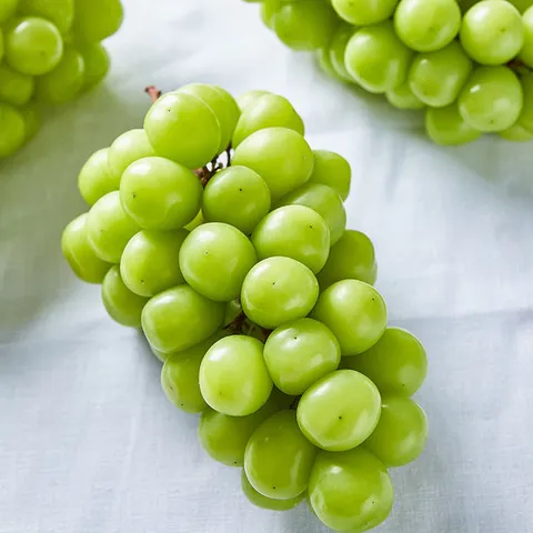 국내산 김천 가정용 샤인머스켓 1kg 2-3수