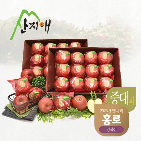 산지애 홍로 사과 5.4kg (2.7kg*2박스)