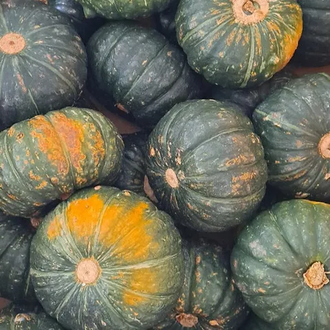 국산단호박10kg 못난이 단호박