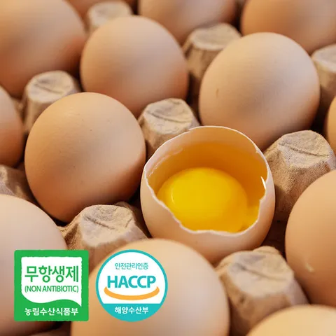 한계란 무항생제 동물복지 유정란 난각번호 2번 계란 60구