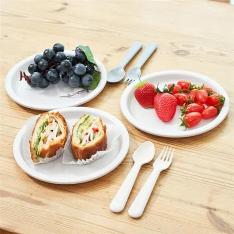 (플라팜) 피크닉 접시 대 5p 세트 14입 대량구매 플라스틱 생활용품 주방용품