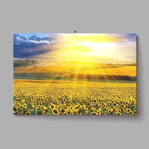 해바라기 사진 돈들어오는그림 인테리어 아크릴 액자 인테리어소품 풍수소품 해바라기 아크릴그림 사과그림액자 해바라기그림 풋사과그림 명화 개업선물