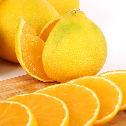 서귀포 산지직송 황금향 가정용 2.5kg 소과 (13-20과 내외) SG 제주 만감류 제철 과일