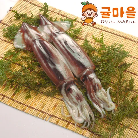 귤마을 국내산 손질 통오징어 1마리 200g내외