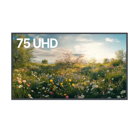 TV 191cm 4K UHD 저가형 중소기업 대형 TV BD-75UHD 스탠드형 지방 기사방문설치