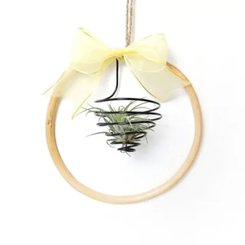 [에듀팜]공기정화 이오난사 와이어 리스 플랜테리어 만들기세트_