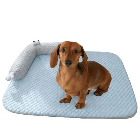 반려동물 여름냉감 쿨매트 강아지 고양이 사각 쿨방석 강아지쿨매트 고양이쿨매트 반려동물쿨매트 애견쿨매트 쿨매트 강아지쿨방석 반려견쿨매트 애견쿨방석