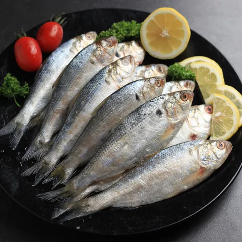 자연산 전어 2kg 25-40미내외