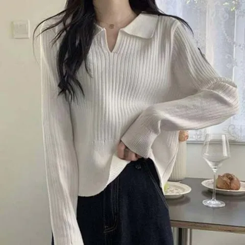 니트 골지 데일리 카라 티셔츠 오피스룩 기본 여성 여