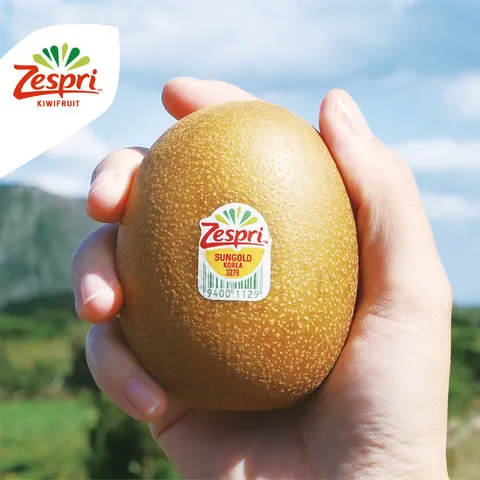 제스프리 썬골드키위 1kg (12-13입)